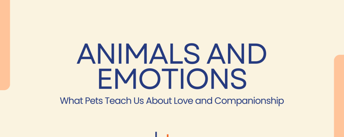 Animals and Emotions: What Pets Teach Us About Love and Companionship