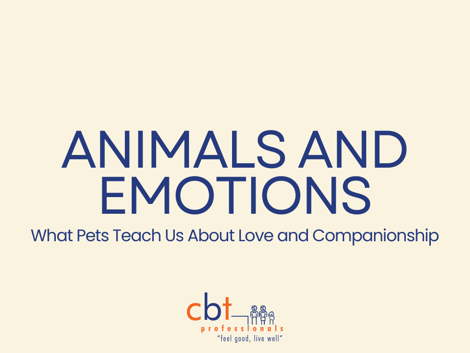 Animals and Emotions: What Pets Teach Us About Love and Companionship